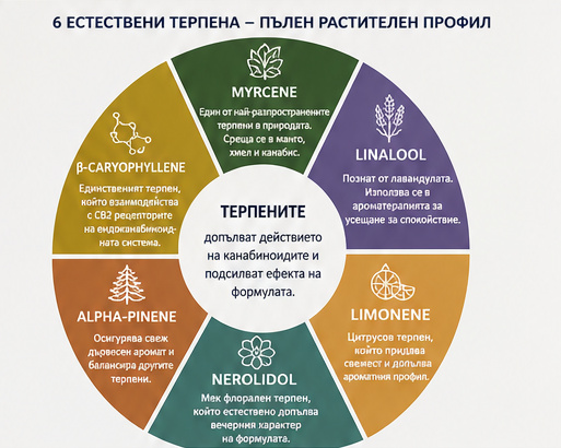 6 естествени терпена - пълен растителен профил