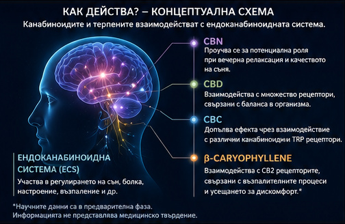 Как действа? - Концептуална схема